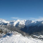 Roháče